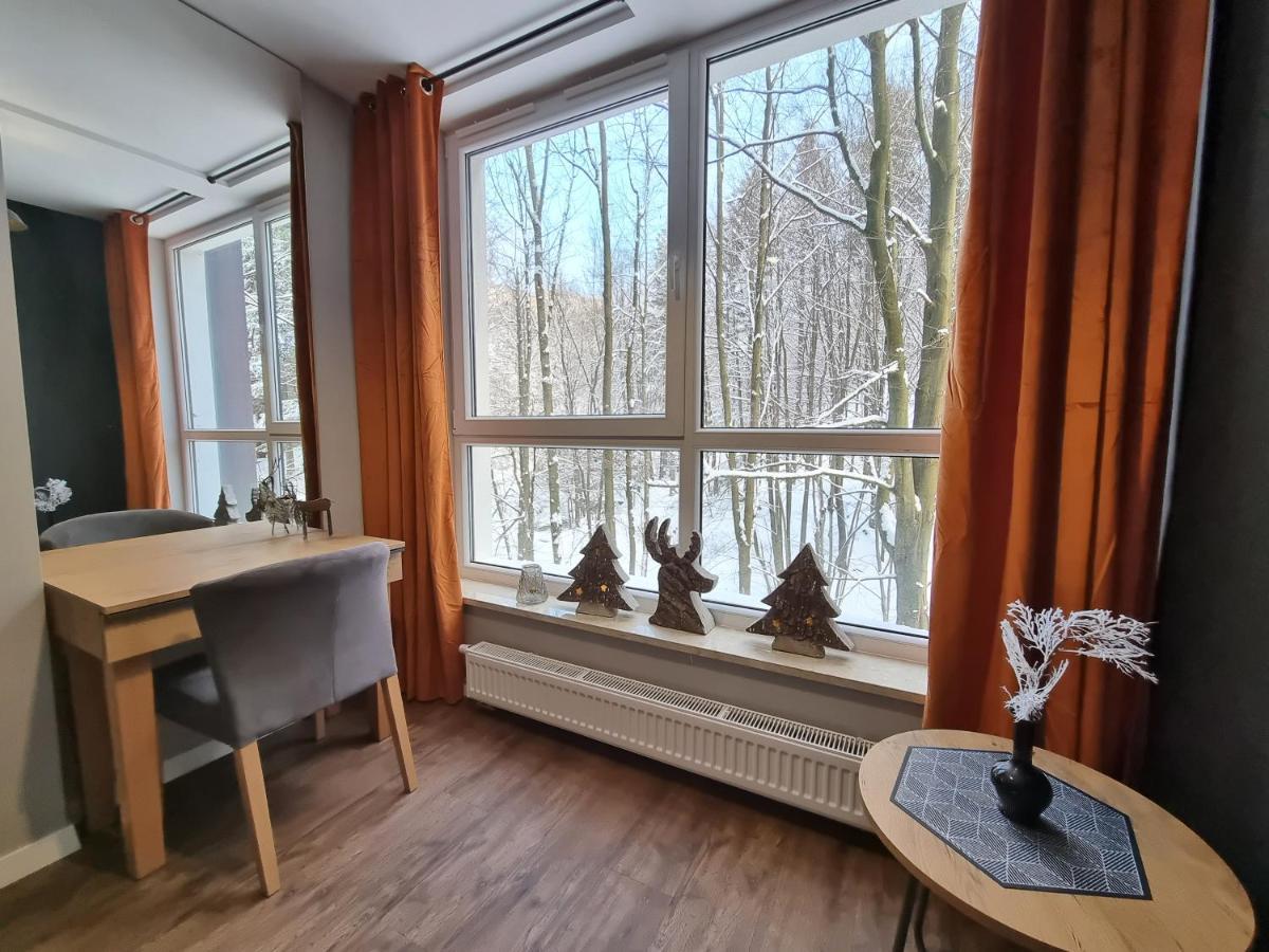 Apartament Spa 10 Resort Kozubnik Blisko Szczyrk - 5D Apartments Porąbka 외부 사진